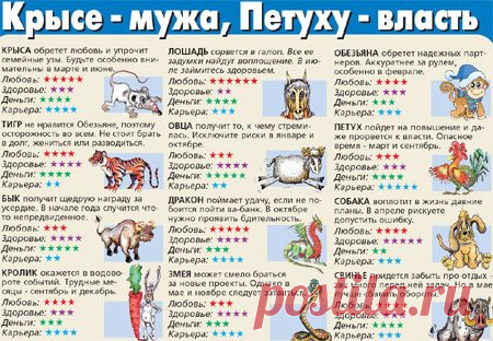 Что принесет нам год Красной Обезьяны / Все для женщины