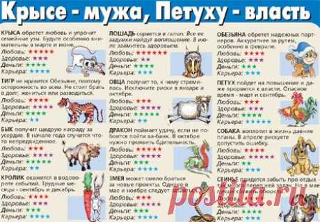 Что принесет нам год Красной Обезьяны / Все для женщины