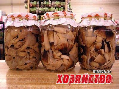 10 лучших способов заготовки грибов на зиму