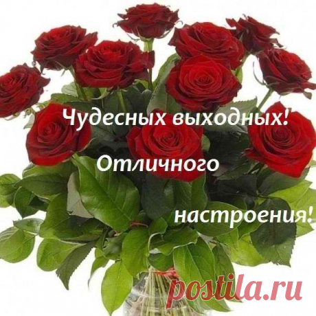 6Q5xk9oZyU4.jpg (604×604)