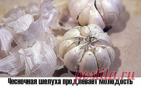 Чесночная шелуха продлевает молодость.
Белую шелуху от чеснока не выбрасывайте когда вы его чистите. А собирайте её и храните. Это ценнейшее средство для продления молодости. Для этого каждый месяц надо пить напиток, приготовленный из белой шелухи чеснока. 
* Приготовление.
- Взять горсть шелухи чеснока. 
- Вскипятить чайник и подождать от 1 до 3 минут, и только потом залить  шелуху стаканом кипятка. 
- Нельзя ни в коем случае пить горячий или даже слегка теплый напиток.
- Пить целебный напито
