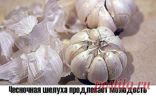 Чесночная шелуха продлевает молодость.
Белую шелуху от чеснока не выбрасывайте когда вы его чистите. А собирайте её и храните. Это ценнейшее средство для продления молодости. Для этого каждый месяц надо пить напиток, приготовленный из белой шелухи чеснока. 
* Приготовление.
- Взять горсть шелухи чеснока. 
- Вскипятить чайник и подождать от 1 до 3 минут, и только потом залить  шелуху стаканом кипятка. 
- Нельзя ни в коем случае пить горячий или даже слегка теплый напиток.
- Пить целебный напито