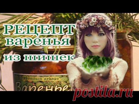 Варенье из сосновых шишек, рецепт варенья