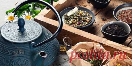 (+6) 10 ошибок при заваривании чая : Полезные советы : Кулинария : Subscribe.Ru