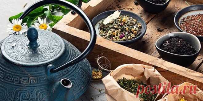 (+6) 10 ошибок при заваривании чая : Полезные советы : Кулинария : Subscribe.Ru