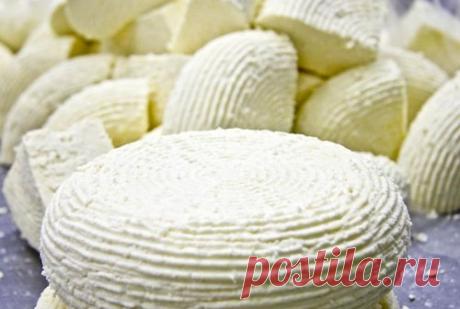 Адыгейский домашний сыр