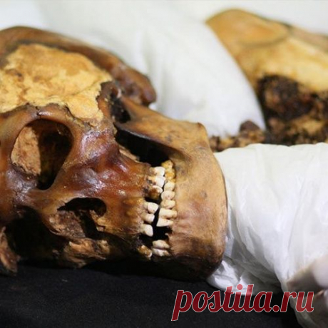 Принцесса Укока: диагноз спустя 2500 лет