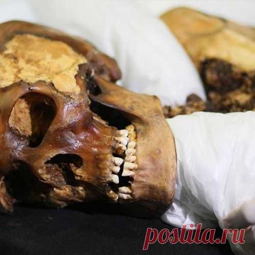 Принцесса Укока: диагноз спустя 2500 лет