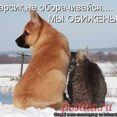 Минутка позитива