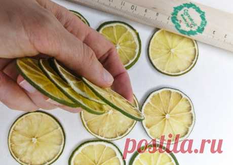 Сушеные плоские ломтики лайма для заливки смолой купить