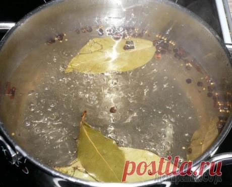 Быстро-сало «Жаль мало»! ))