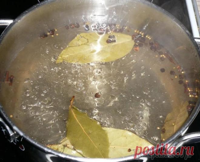 Быстро-сало «Жаль мало»! ))