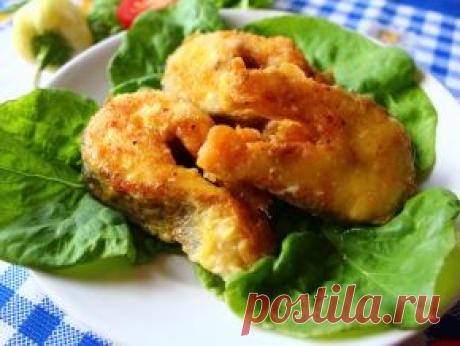 Блюда из рыбы, рецепты с фото. Как приготовить рыбные блюда в духовке или на сковороде?
