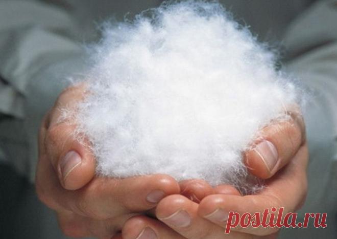 Наполнители зимних курток - разбираемся в утеплителях 
Еще несколько лет назад изготовители верхней одежды использовали два вида наполнителя в зимних куртках: натуральный пухо-перовой и синтетический синтепон на основе полиэстера. Увы, они прославились с…