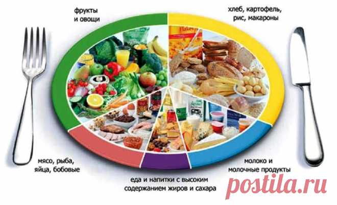 Время переваривания пищи в желудке
