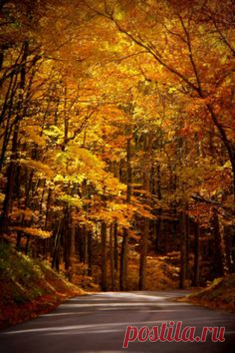 What a beautiful drive