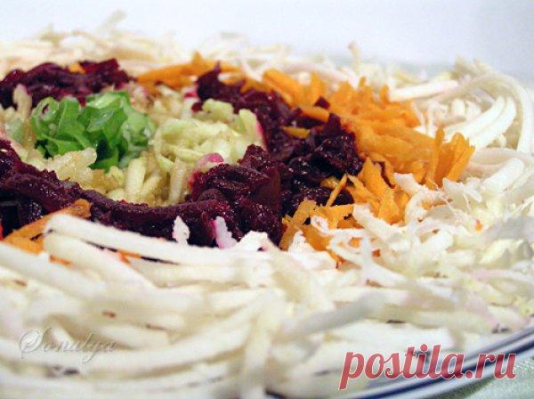 Полезные свойства черной редьки