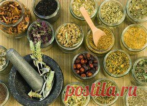 Лекарственные растения для улучшения зрения / Будьте здоровы