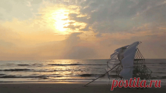 Тео Янсен и его ветряные пляжные звери Strandbeests - Хвостатые байки