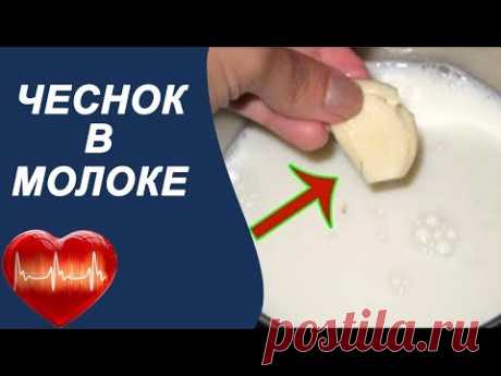 Чеснок с молоком от давления и для чистки сосудов. Рецепт