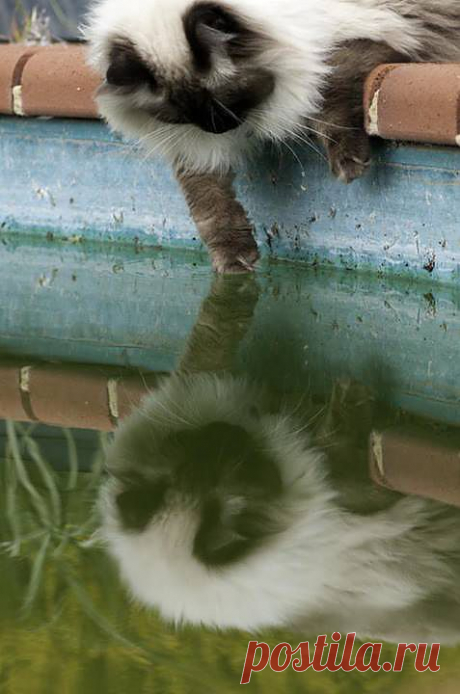 ☼ ❤