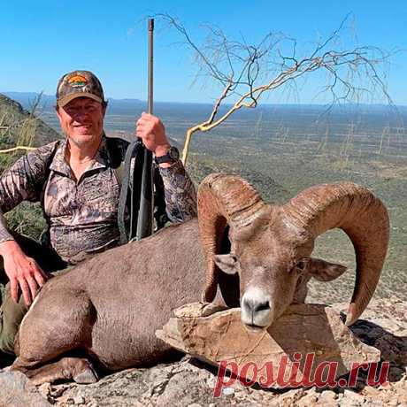 Мексика: охота на Пустынного толсторога и оленей | Профи Хант Тревел Наш постоянный клиент Андрей Анатольевич Заика продолжает пополнять свою коллекцию и собирать международные охотничьи шлемы. В январе состоялась поездка в Мексику за Пустынным толсторогом и оленями. Поздравляем Андрея Анатольевича с замечательным трофеем Пустынного толсторога, добытого на открытых территория в охотничьем районе Сонора, а также с отличным трофеем белохвостого оленя Куэса и трофеем чернохвостого оленя. Мексика …
