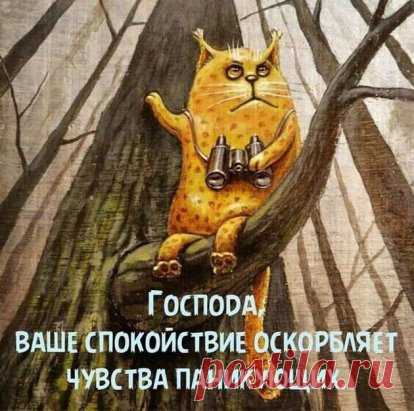 «Во время всеобщего безумия, тому кто не безумствует, говорят: ты безумен, потому что не безумствуешь». Автор неизвестен.