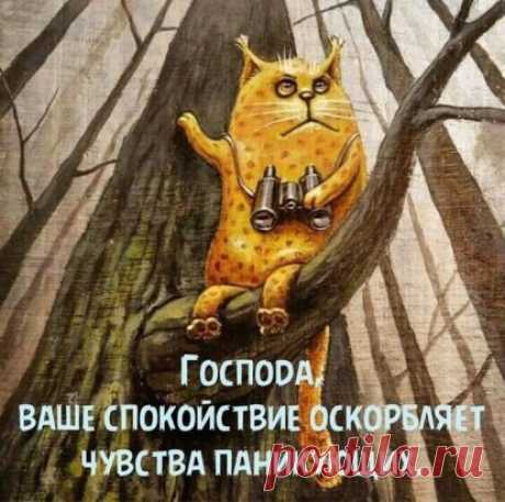 «Во время всеобщего безумия, тому кто не безумствует, говорят: ты безумен, потому что не безумствуешь». Автор неизвестен.