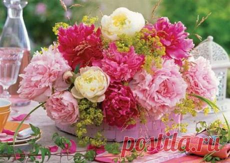 Приятный аромат вашего дома. Немного о способах ароматизации - Делимся советами