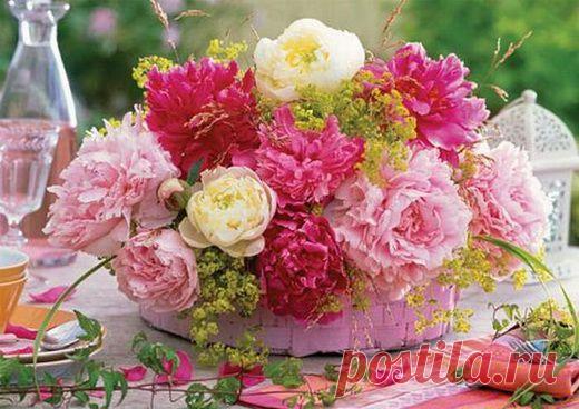 Приятный аромат вашего дома. Немного о способах ароматизации - Делимся советами