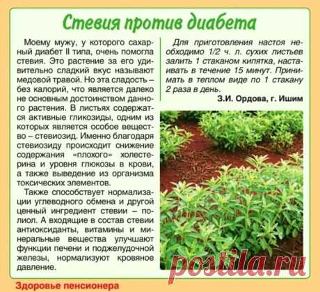 Стевия против диабета