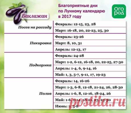 Первая помощь при вывихе голеностопа и его лечение - МирТесен