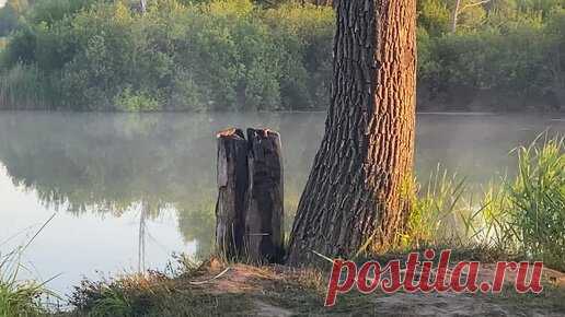 Танькины записки | Утро на Цимлянском озере
