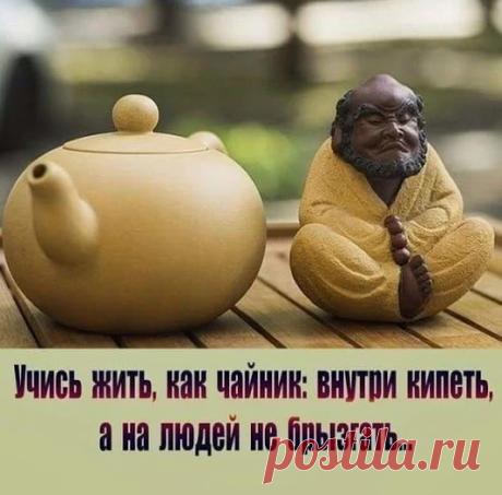 Елена Казакова - Google+