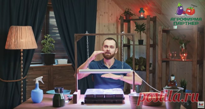 Как выбрать фитосветильники для растений и рассады — FitoLed выращивание с помощью светодиодной досветки