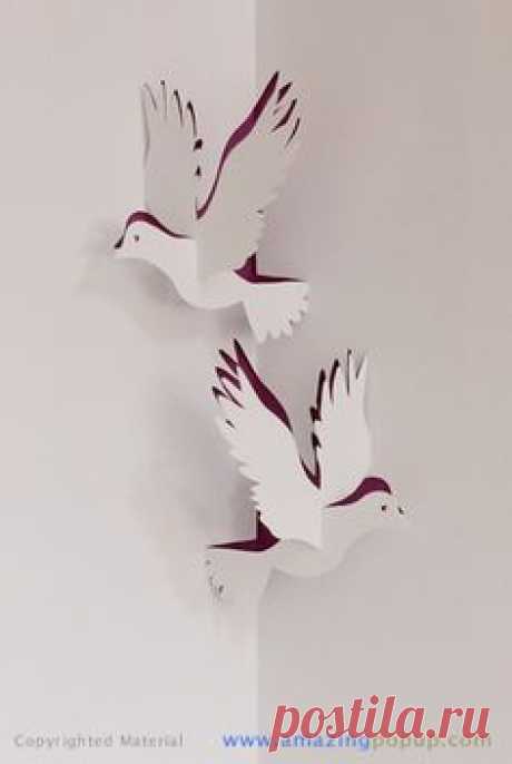 (136) Pinterest