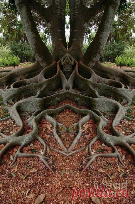 Creation 167 Print by Mike Nellums