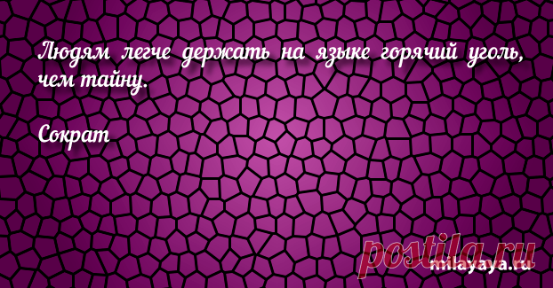 Афоризм про жизнь со смыслом для женщин и девушек (картинка 333) . Милая Я
