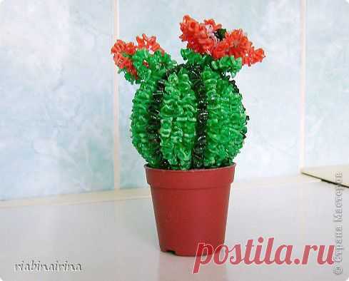 КАКТУС из пластиковой бутылки МК от riabinairina.