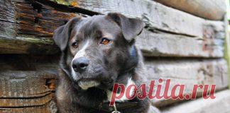 Литература - – Page 3 of 6 – Фитнес для мозга