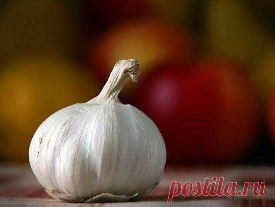 ✺ Все Самое Интересное ✺