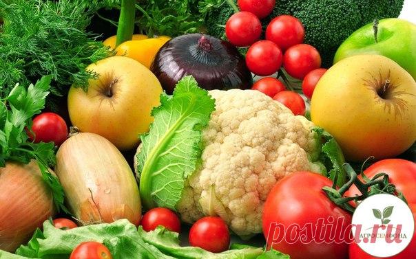 Правильный полив овощей

У правильного полива три основных условия: своевременность, регулярность, норма. Как их надо применять для разных овощей летом?

Полив огурцов сверху или в бороздку
Показать полностью…