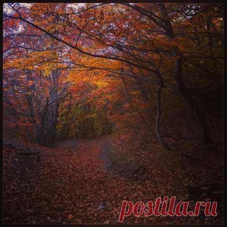 Осенний Крым — настоящая сказка для пейзажных фотографов;)) — Фотоискусство