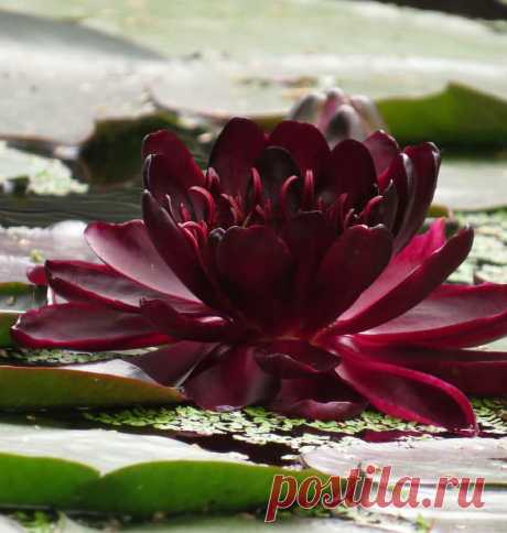 Редактировать описание