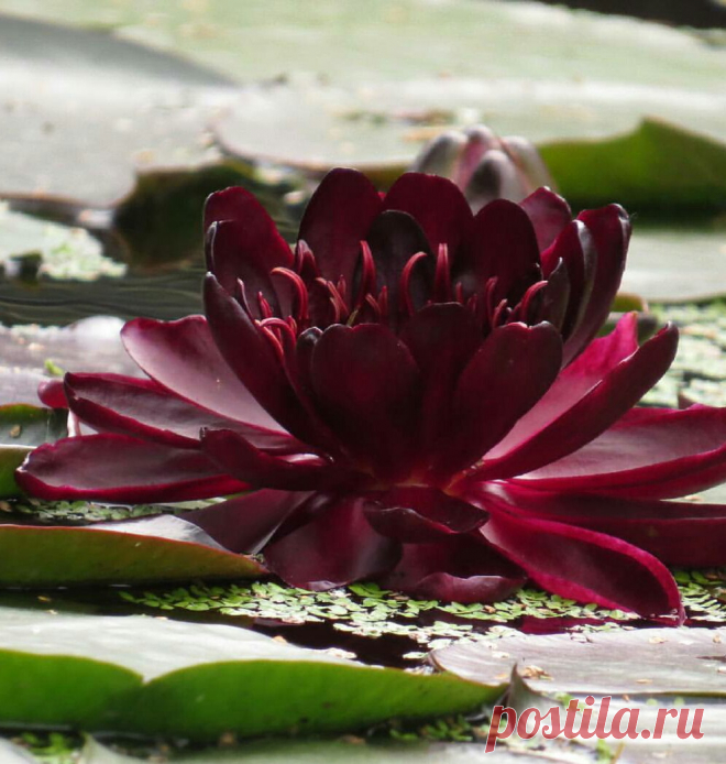 Редактировать описание