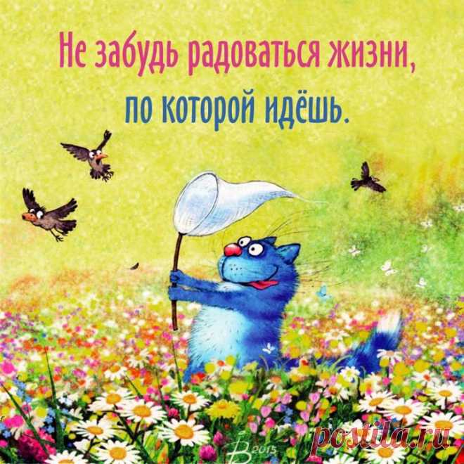 Во-во!