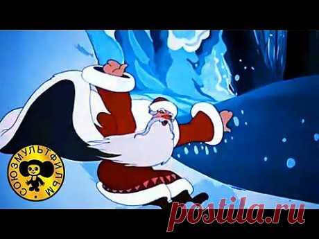 ▶ Новогодние мультфильмы - Праздник Новогодней Ёлки. Сборник. - YouTube