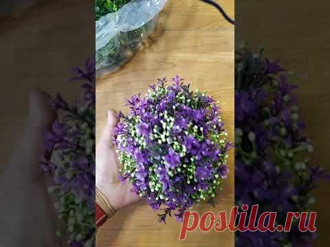 ♥ Запись эфира ♥ Обзор флоры♥ СП Наша Кладовочка