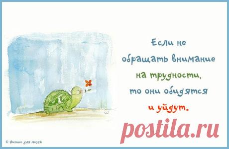Весёлые картинки – Фитнес для мозга