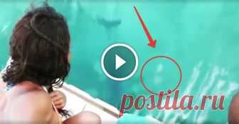 Дівчина впустила телефон у океан. Те, що сталося далі, вразило весь світ! (відео) Тересса Сі відпочивала з друзями на Багамах. В один із днів цієї незабутньої відпустки дівчина відправилася на плавучу платформу посеред Атлантичного океану, щоб поплавати з дельфінами. Все йшло відмінно — сонце, хороша компанія і море позитивних емоцій, як раптом трапилася прикра неприємність. За безглузду випадков